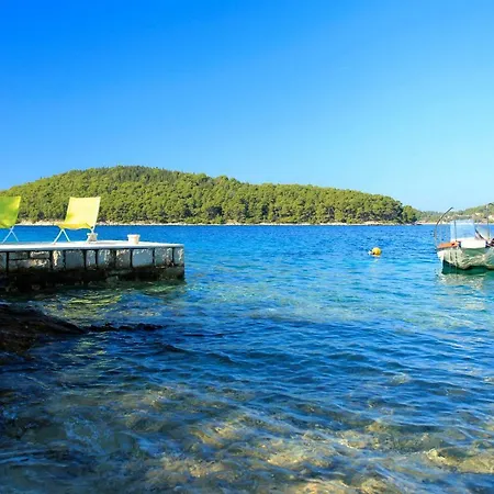 Paradise *