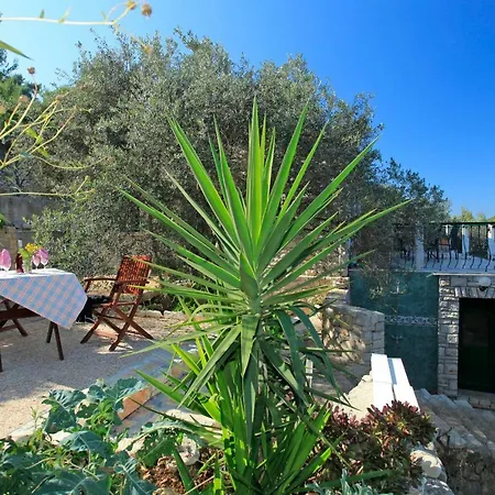 Paradise וולה לוקה